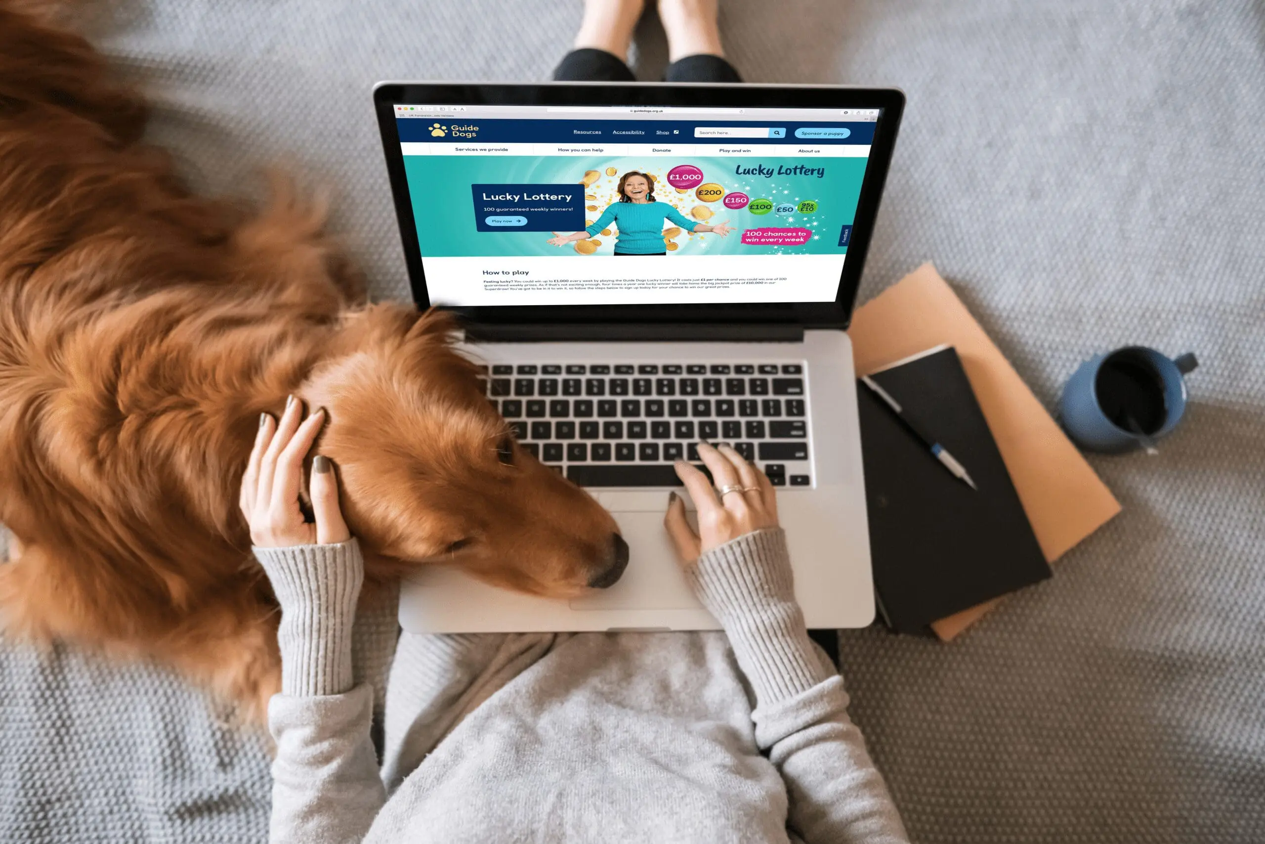 a dog resting his head on a laptop