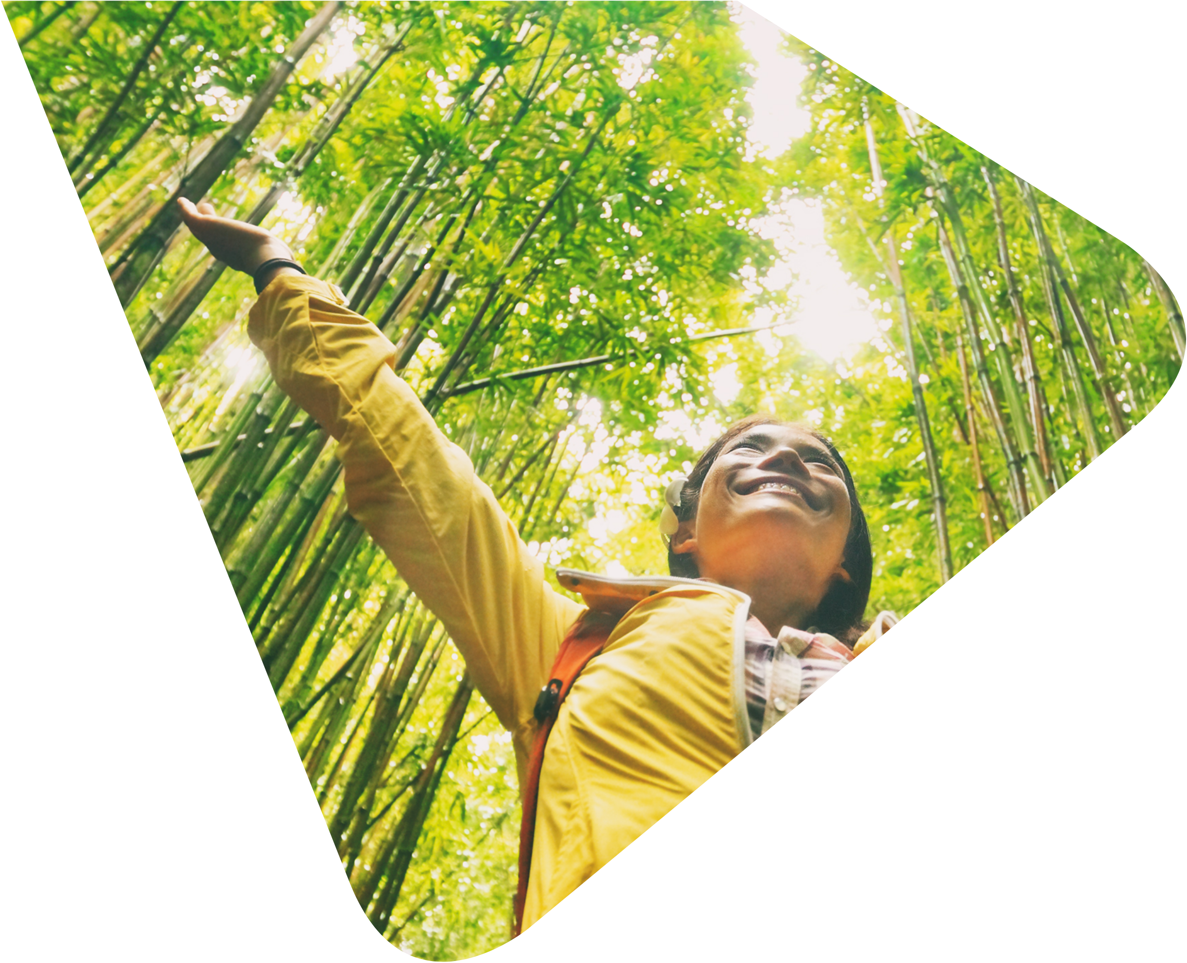 Smiling lady wearing a bright yellow waterproof jacket, her arms raised to the canopy roof surrounded by green bamboo shoots. Image taken from worms eye view so can see the canopy and the sun shining through the leaves. Representing Woods Valldata's work with environmental charities.