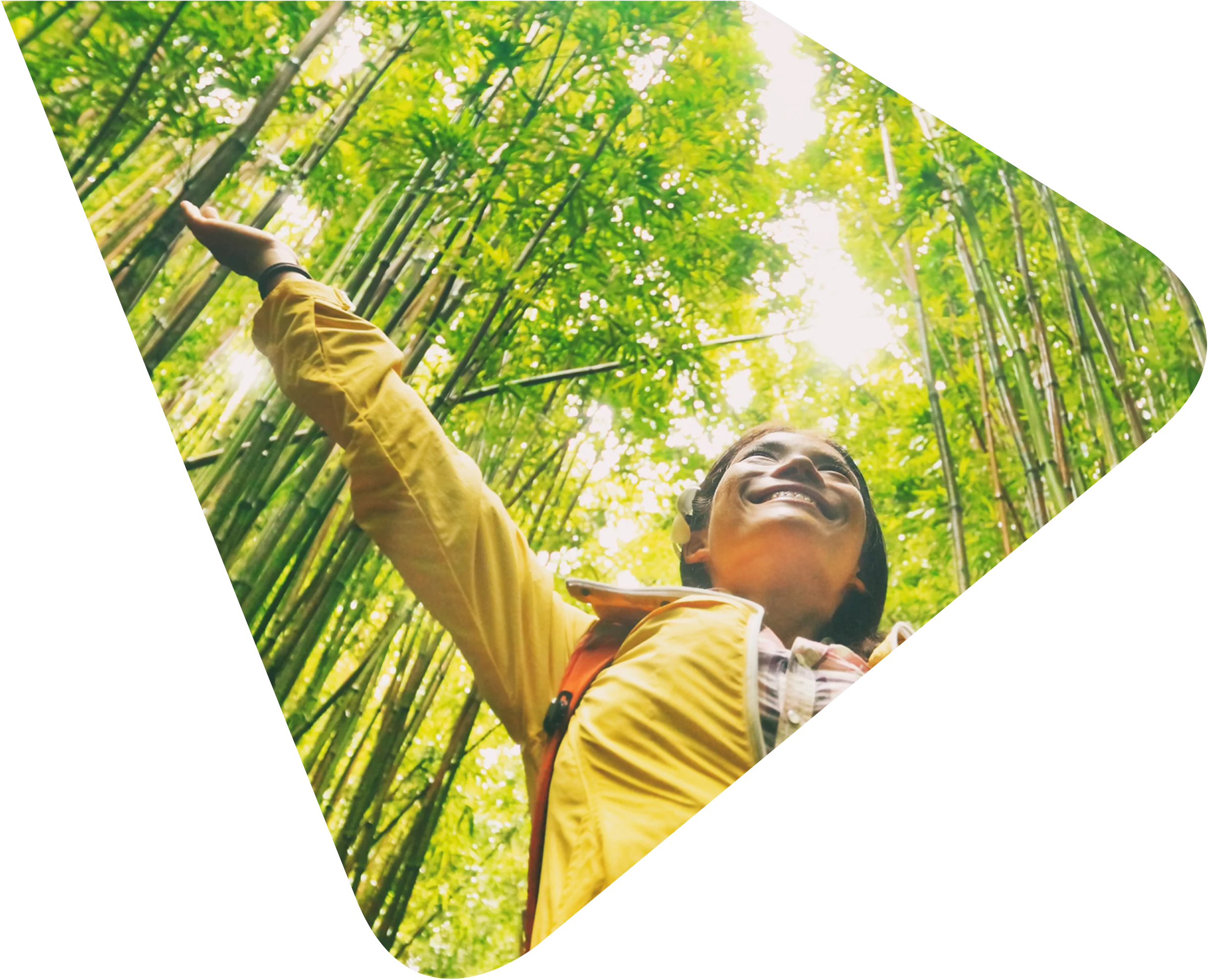 Smiling lady wearing a bright yellow waterproof jacket, her arms raised to the canopy roof surrounded by green bamboo shoots. Image taken from worms eye view so can see the canopy and the sun shining through the leaves. Representing Woods Valldata's work with environmental charities.